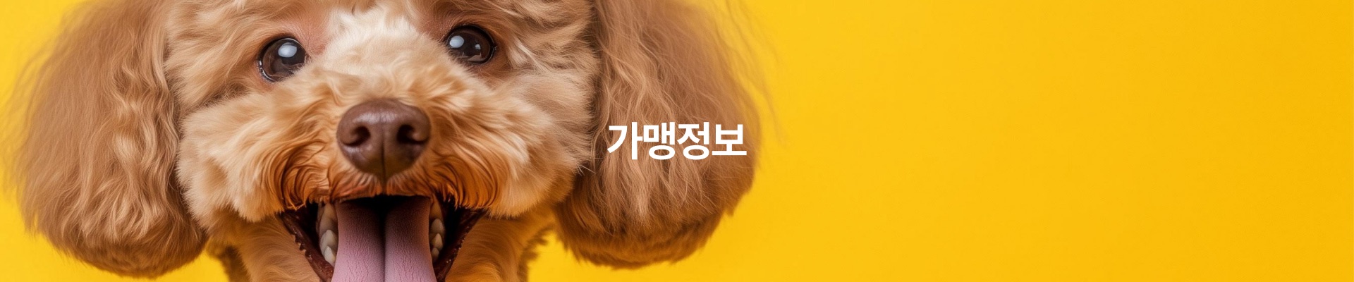 가맹정보