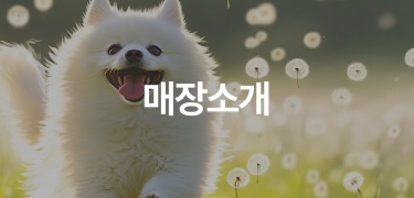 매장소개