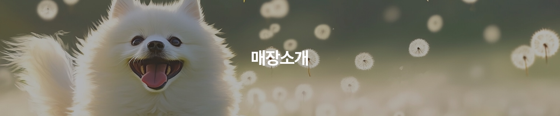 매장소개